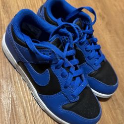 Nike Dunks 