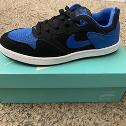 Nike SB ALLEYOOP