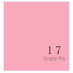 Backdrop Paper Photography 