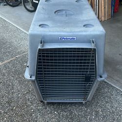 Large Crate And Dog Bed