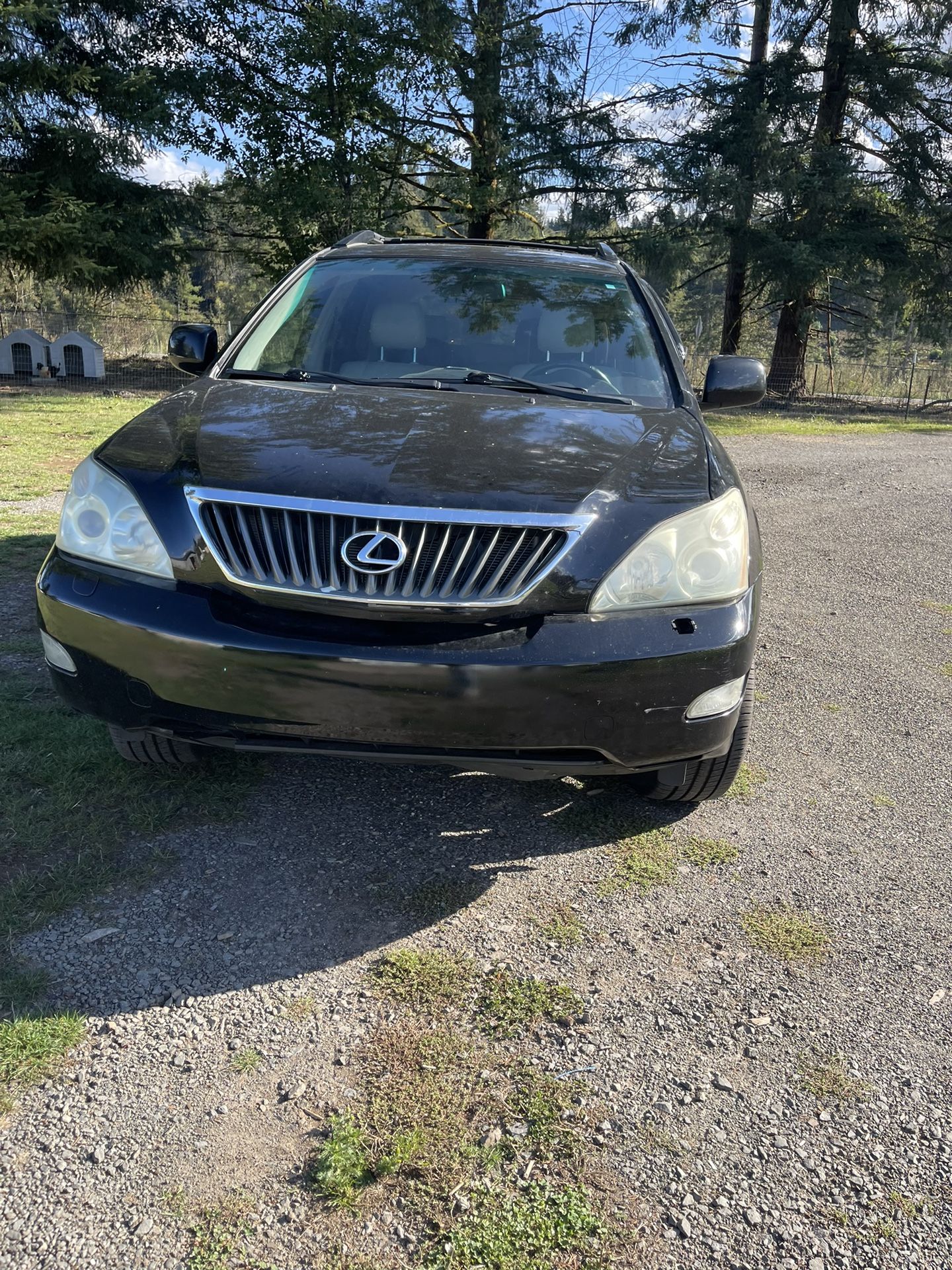 2008 Lexus 