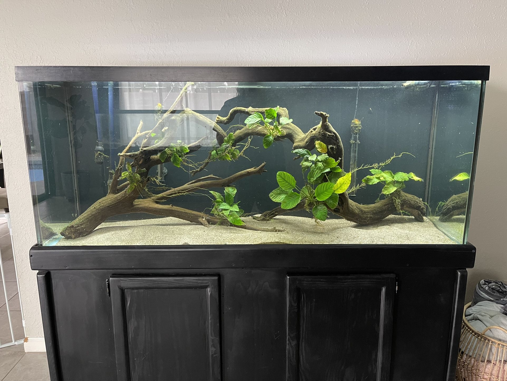 125 Gallon Fish Tank and Stand (Read Description)