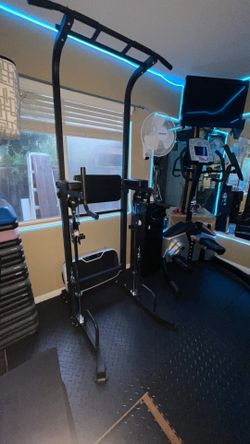 Assisted Dip/Pull-up Abs Station