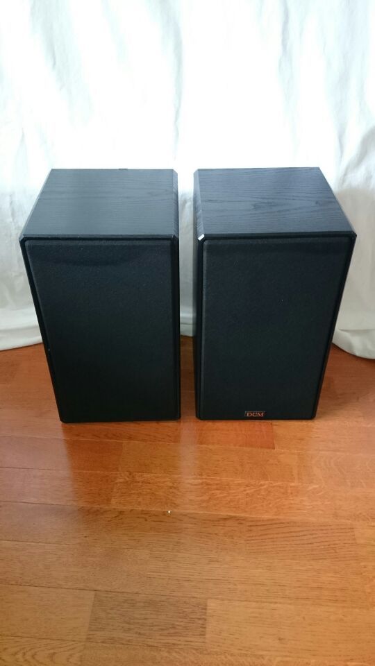 DCM CX 07 AUDIO SPEAKERS IN CLEAN AND GREAT CONDITION.