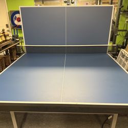 Butterfly Club Ping pong Table