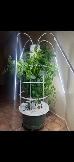 Indoor Hydroponic Tower Garden with Grow Lights