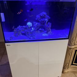65 gallon salt water tank