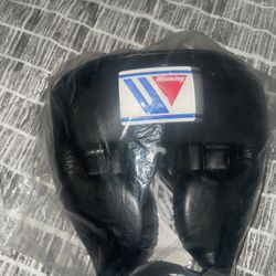 Winning Headgear 