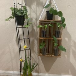 Natural Wood Wall Hanging Planter .