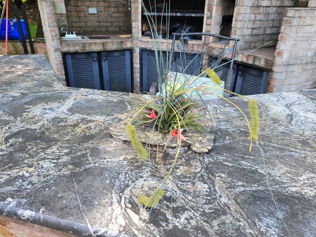 Artificial Plants