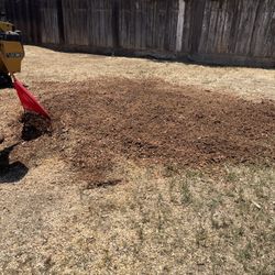  Stump Grinding