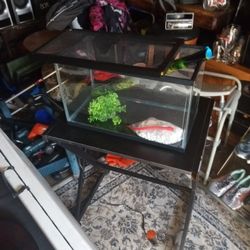 Aquarium With Rock Background And Filter