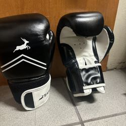 TRIDEER Pro grade Boxing Gloves 