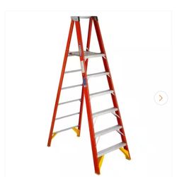 6 Ft Platform Ladder 