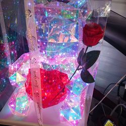 LED BEAR