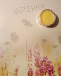 Homemade doTERRA Lip Balm