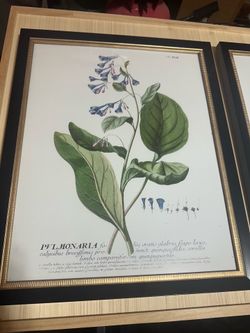 Floral wall decor