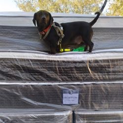 ❤️❤️❤️QUEEN SIZE ORTHOPEDIC FIRM MATTRESS SET CLEARANCE SALE ❤️❤️❤️