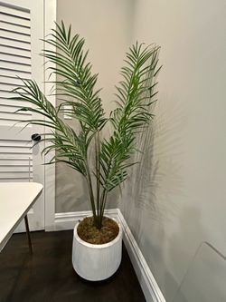 Home decor plastic  plant