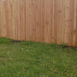 fence  Staining   