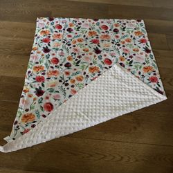Minky Baby Girl Blanket 