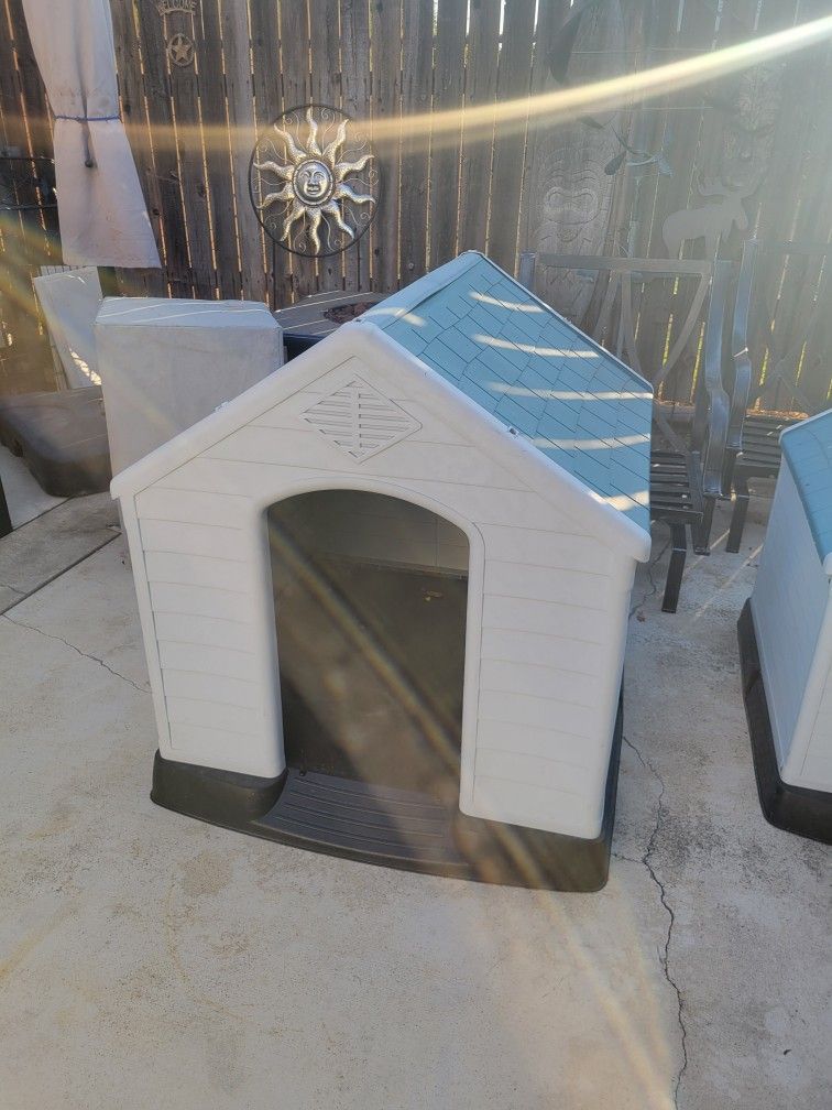 Dog House