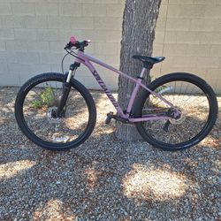 SPECIALIZED ROCKHOPPER SPORT 29 ER MOUNTAIN BIKE LIKE NEW ( CHECK MY OTHER BIKES)