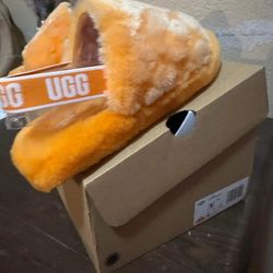 NEW UGGS 