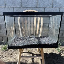 Small Fish Tank 