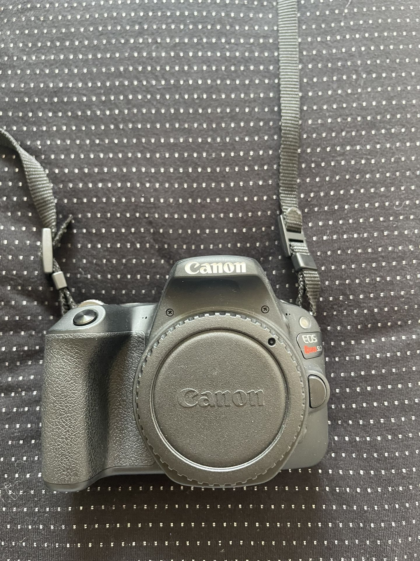 Canon Rebel Sl2 Dslr