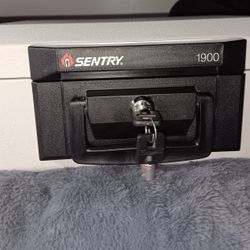 Sentry 1900 Portable Fireproof Safe