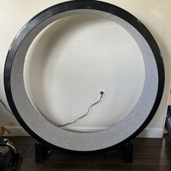 Cat Wheel - One Fast Cat 