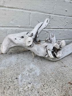 Driftwood 26x7x6