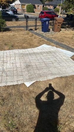 Rug And Pad. Shag / High Pile. Make offer