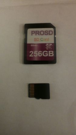 256GB SD Card