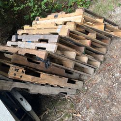 10 Pallets ( FREE )