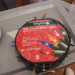 Merry bright 300-count mini lights multifold green wire the multicolor firm price $18 outside lights