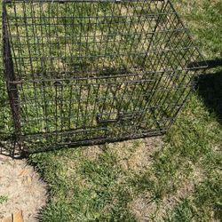 Dog Cage 