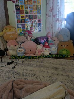 Stuffed animals