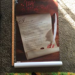 My Bill of Rights (funny poster!)