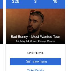 Bad Bunny: Most Wanted Your