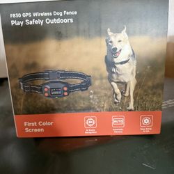 Electric Dog Fence
