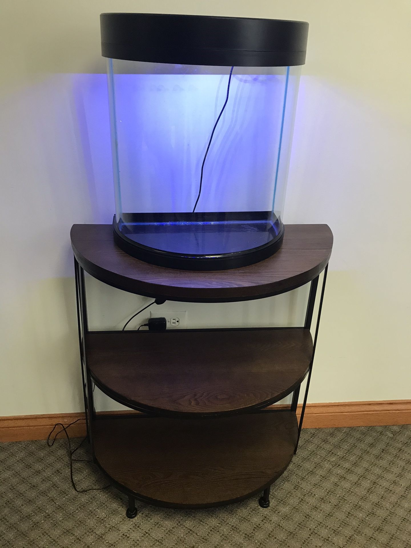 12 gallons fish tank and stand
