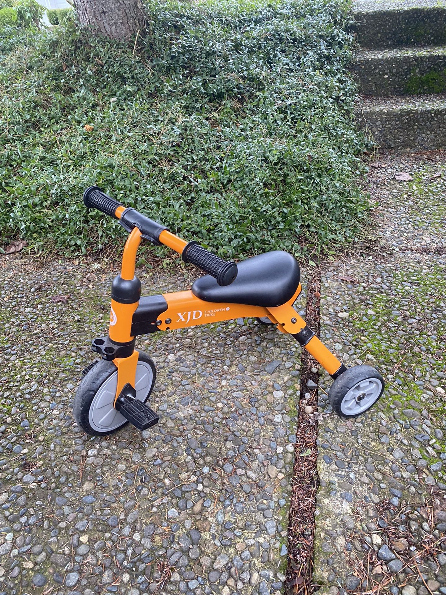 2-in-1 Toddler Tricycle