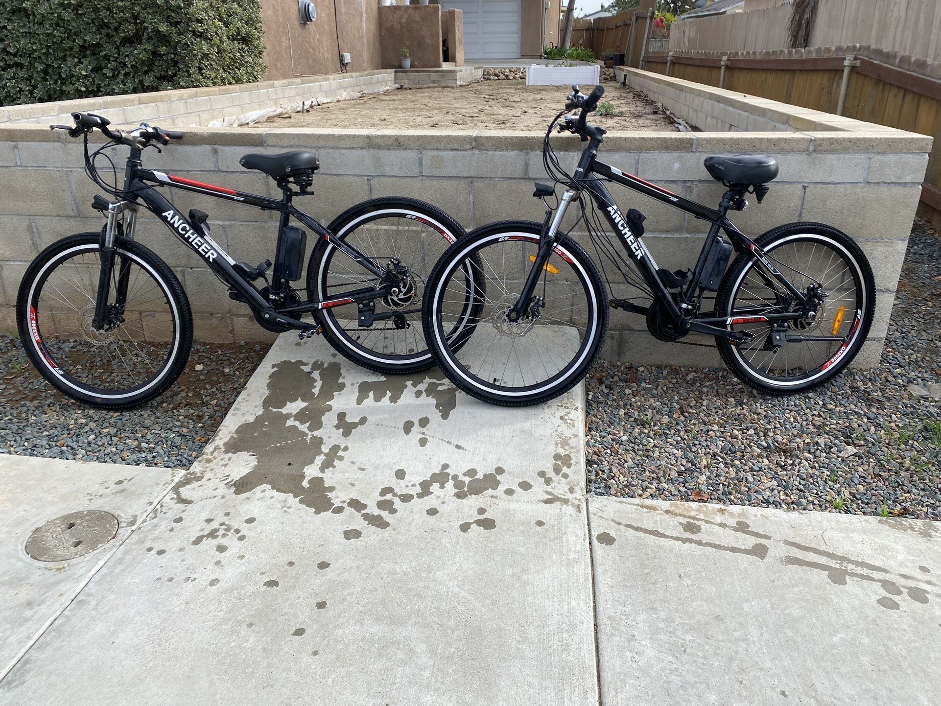 2 BIKES Ebike