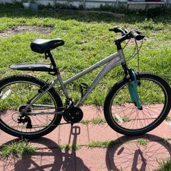 Schwinn Bike 