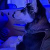 AN JUAN 