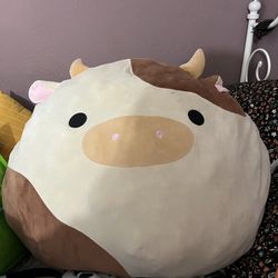 Ronnie The Squishmallow 24inch