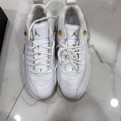 Jordan XII G NRG M22 Brand New 