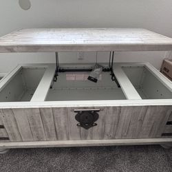 Ashley Wystfield Coffee Table Storage Trunk